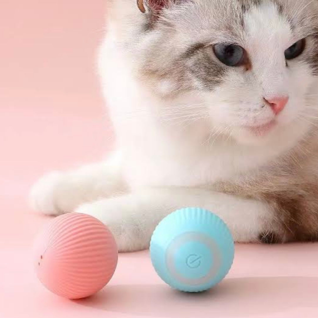 Self-moving Kitten Toys